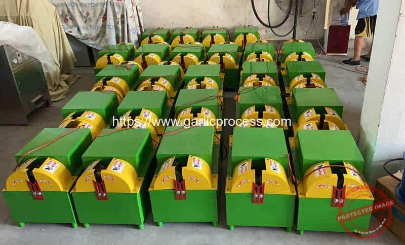 Garlic-Leaf-and-Stem-Cutter-for-Ukraine-Market